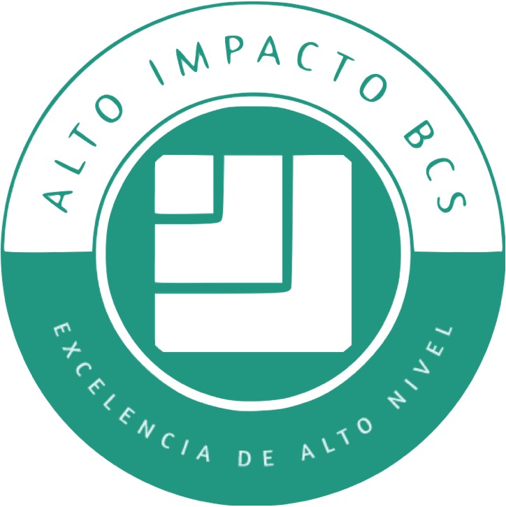 CENTRO DE FORMACIÓN EMPRESARIAL ALTO IMPACTO BCS