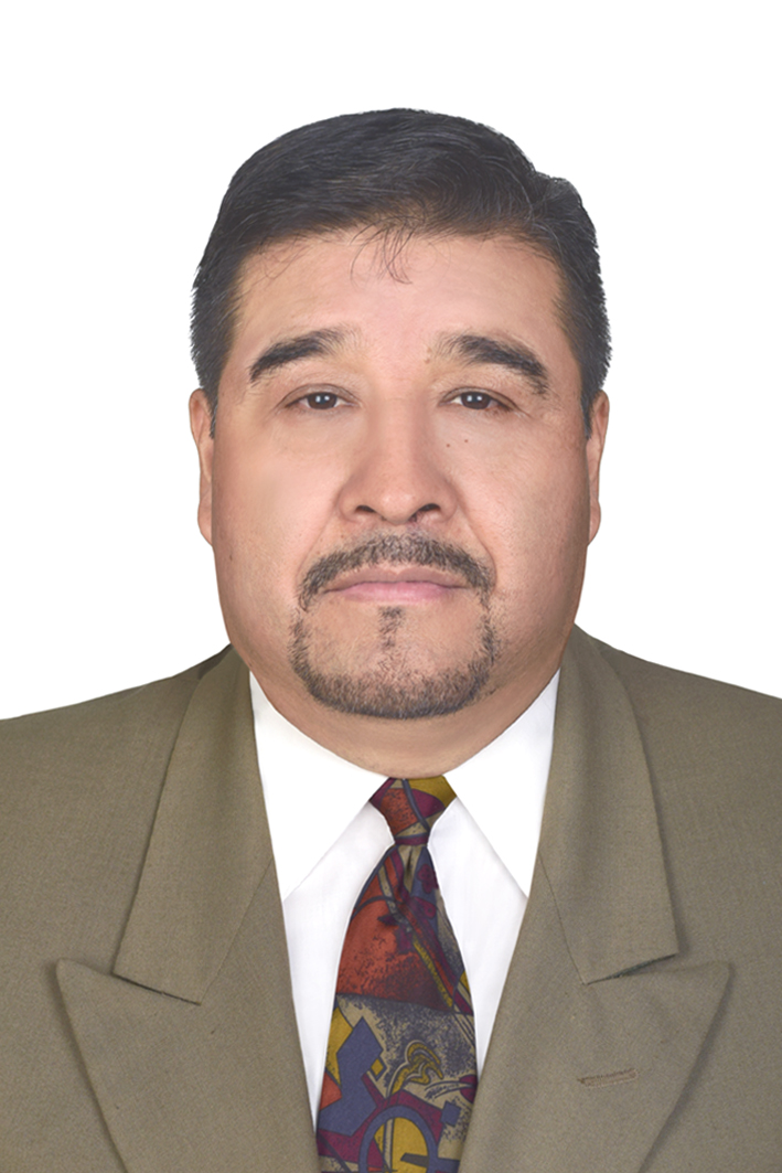 Enrique Domínguez Yañez