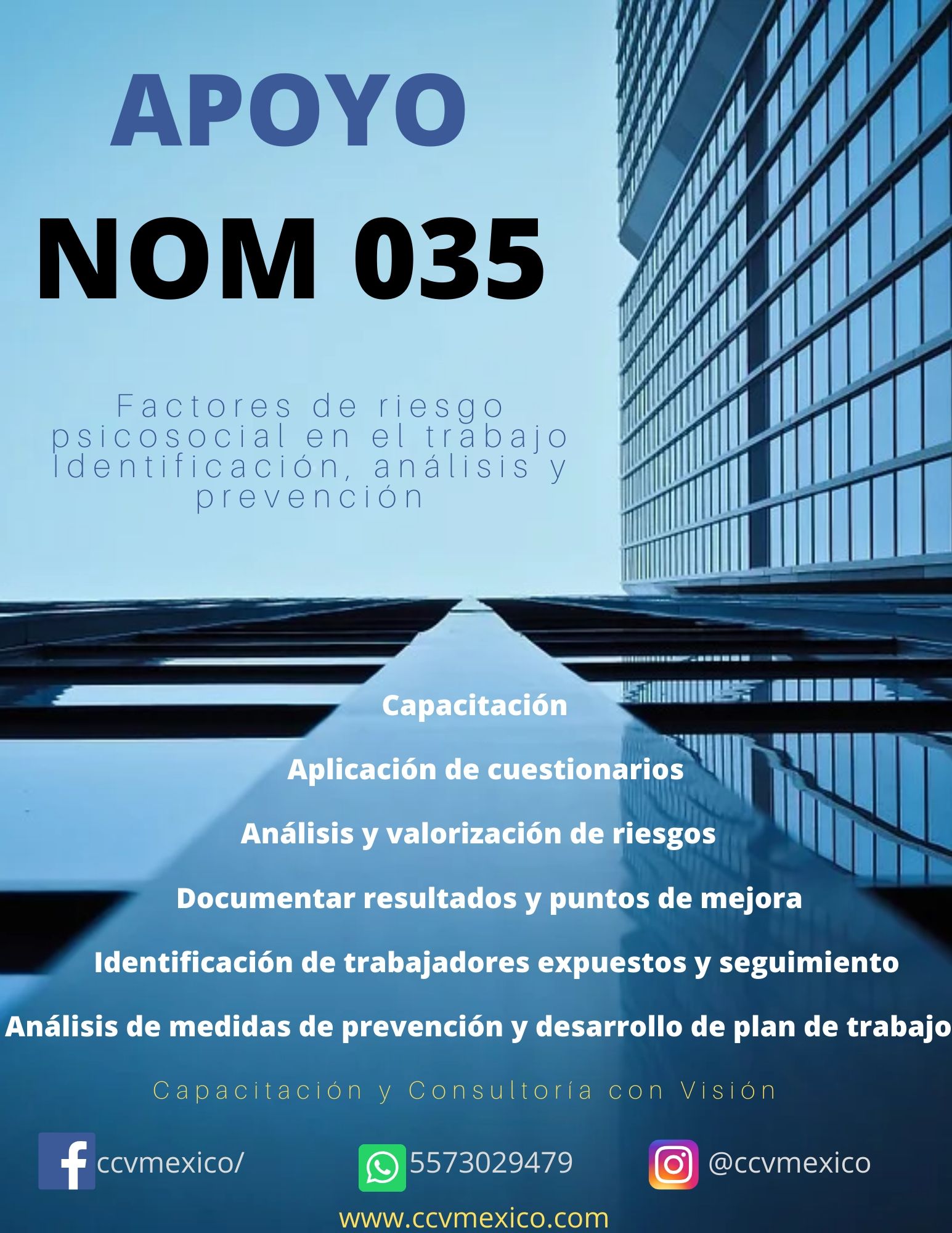 Capacitación y Consultoría con Visión (CCV)