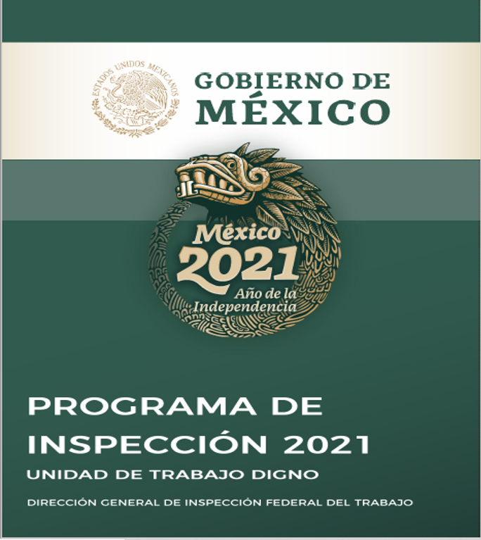 Programa de Inspección 2021 STP