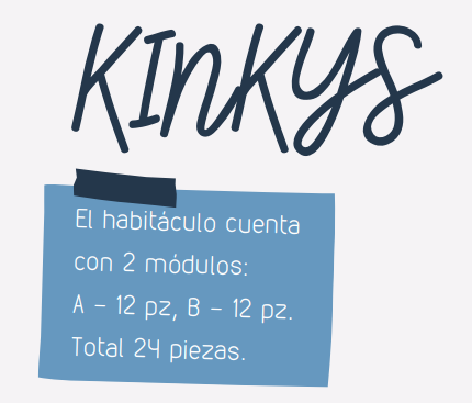 Kinkys
