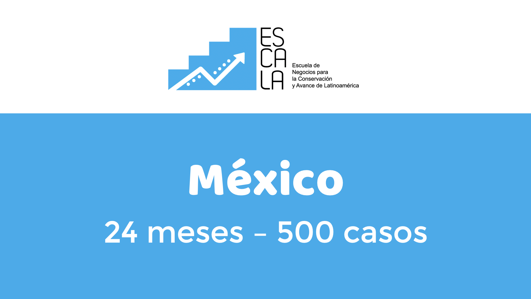 Informe Escala 2 años
